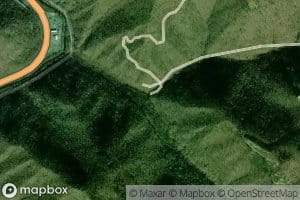 Left Fork Ash Branch