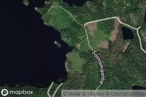 Partiisjoki