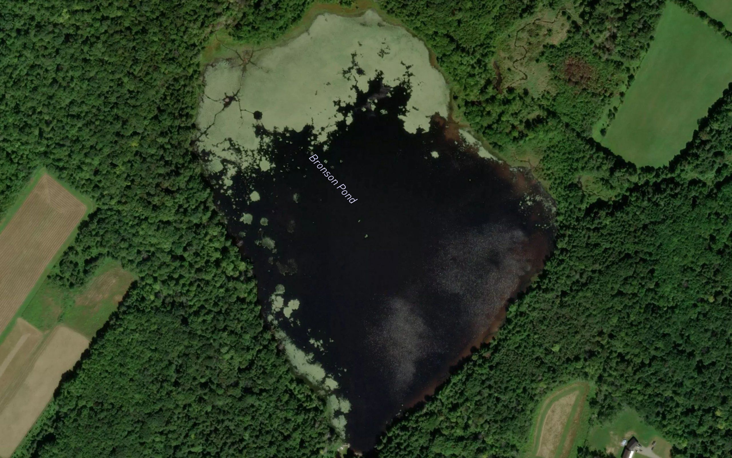 Bronson Pond