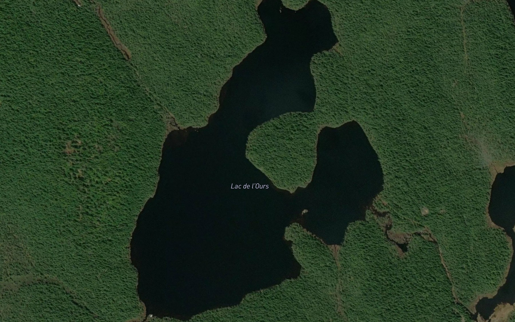Satellite map of the Lac de l'Ours