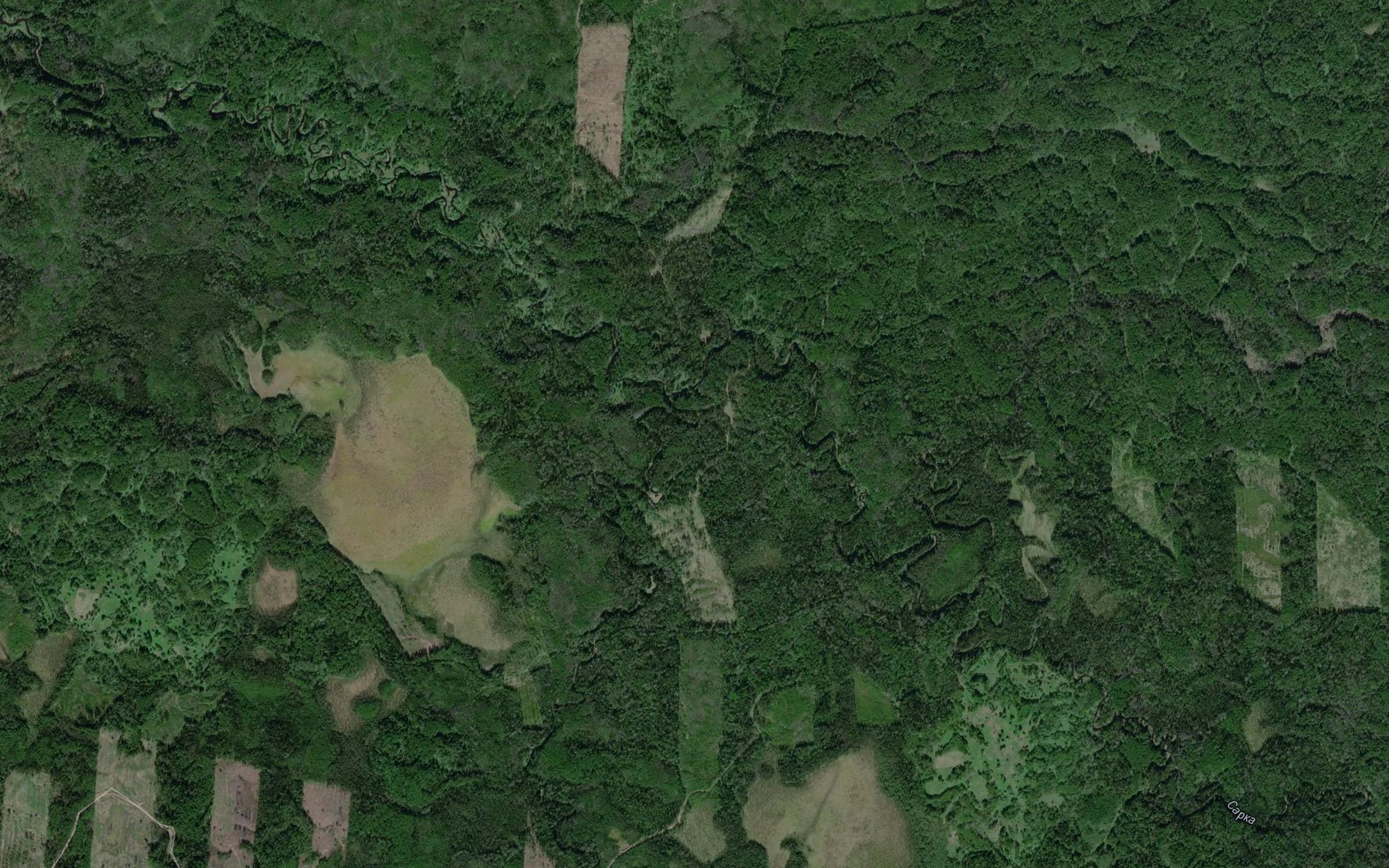 Satellite map of the Lyamzha