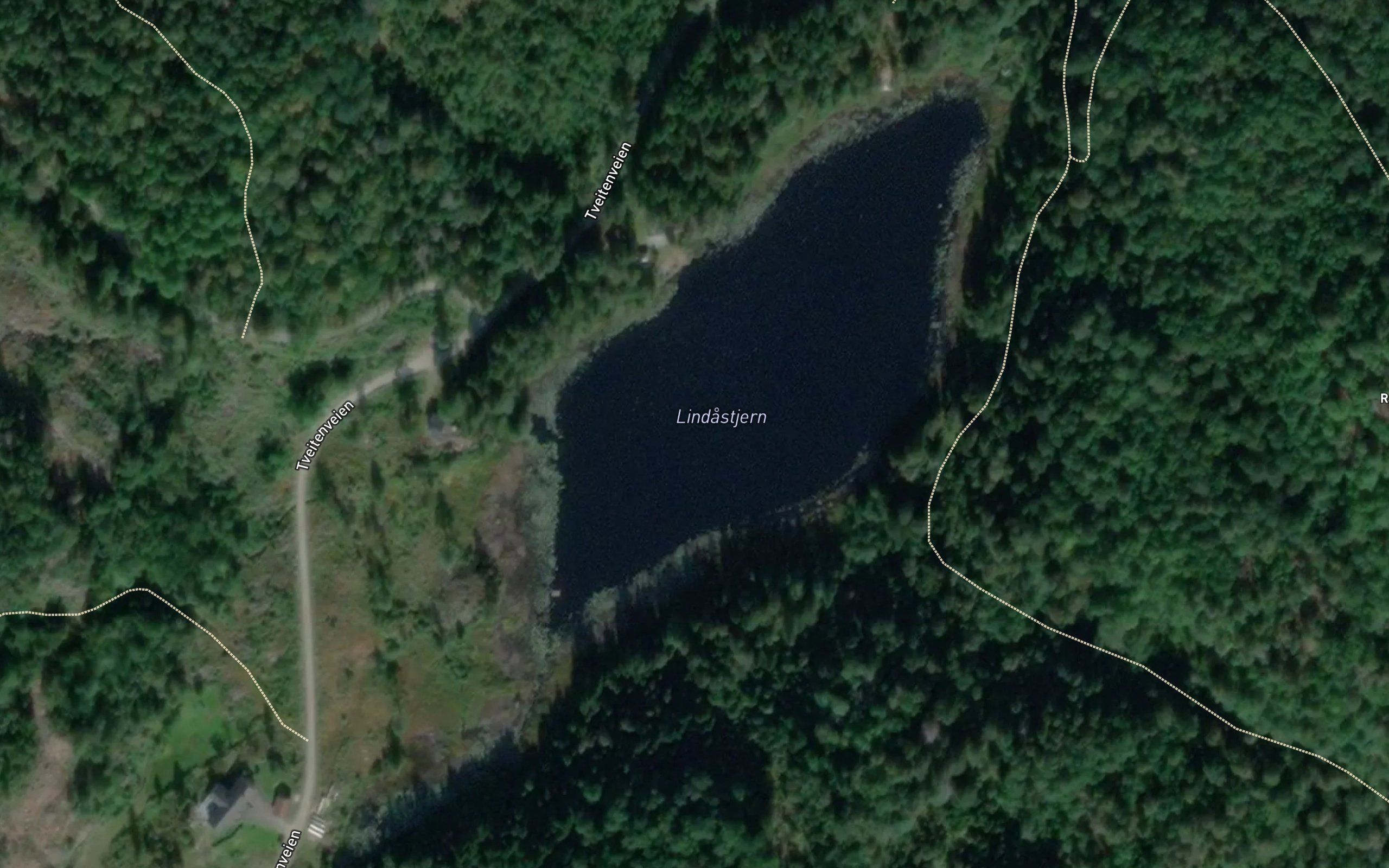 Lindastjern