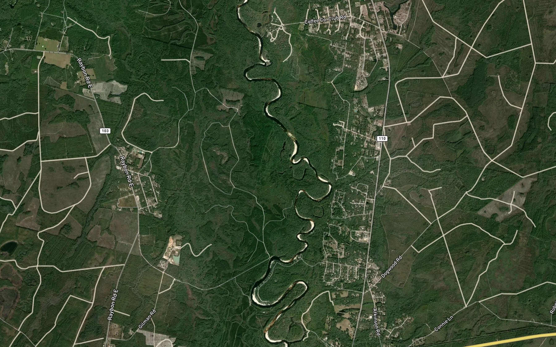 Satellite map of the Forked Lake