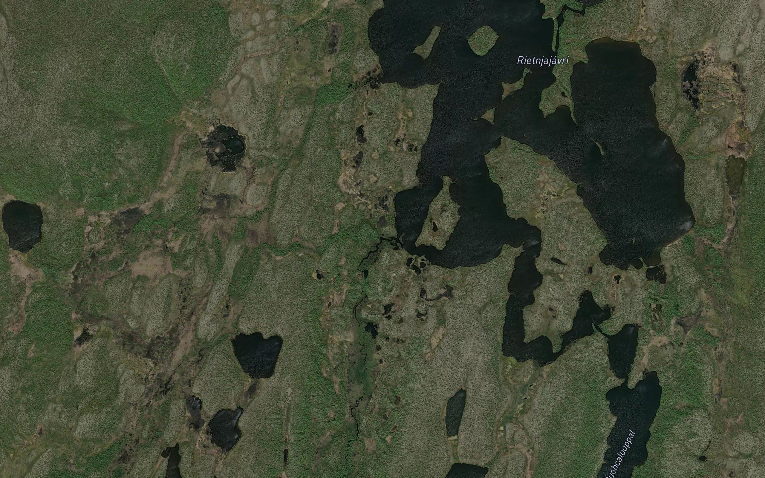 Monnejohka