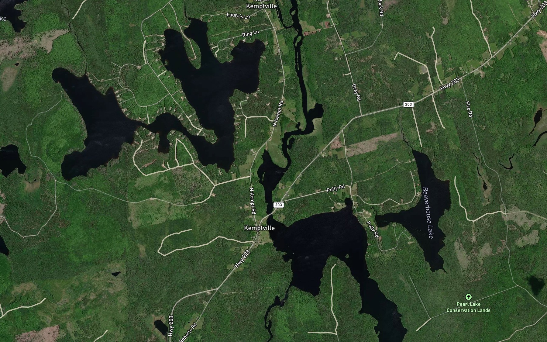 Satellite map of the Travis Lake