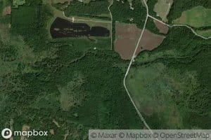 Early Grove Creek