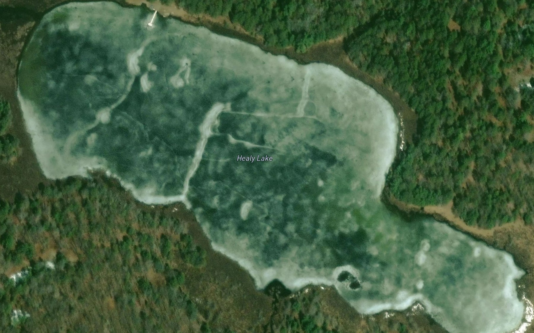 Satellite map of the Healy Lake