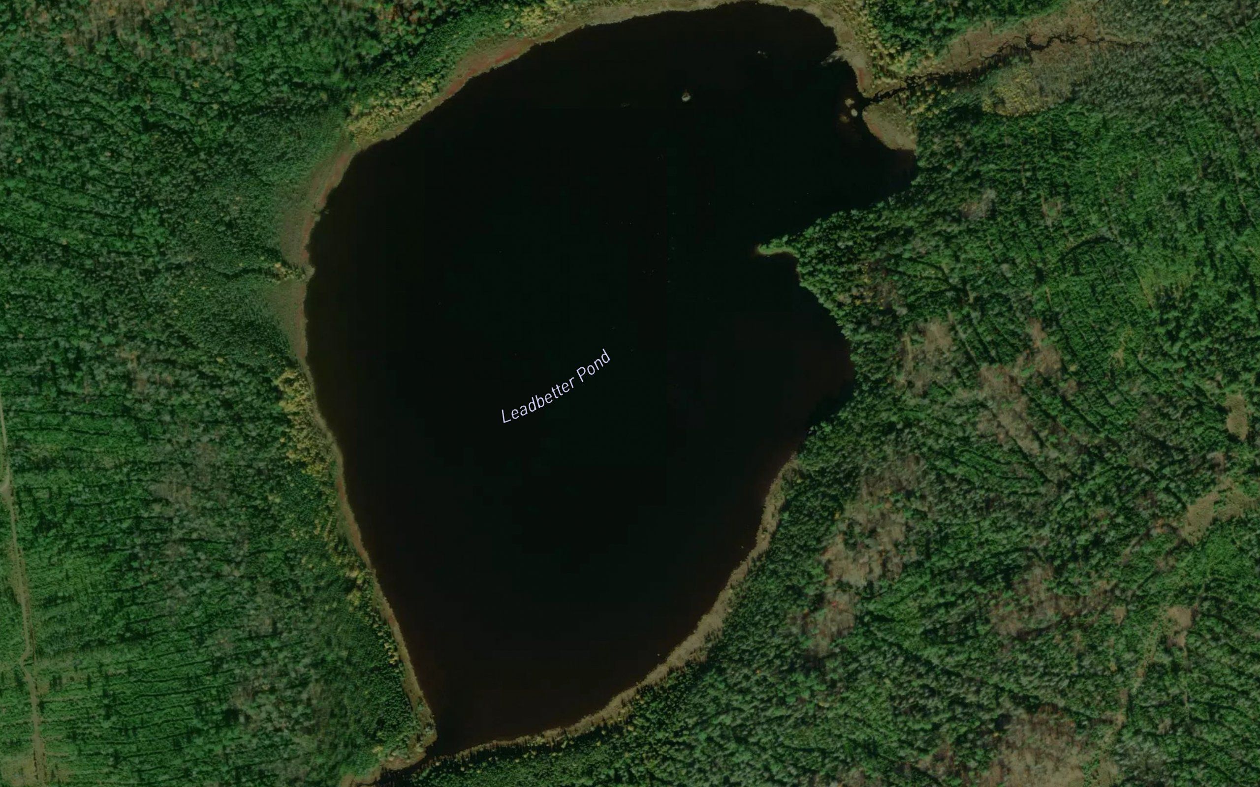 Leadbetter Pond