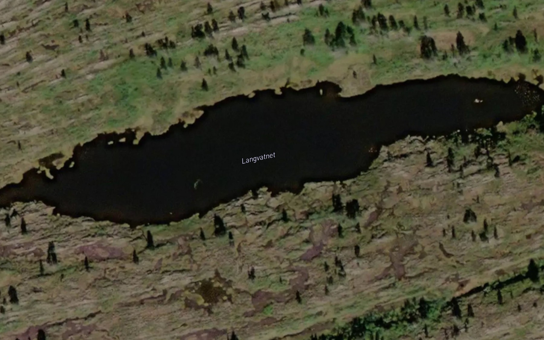 Satellite map of the Langvatnet