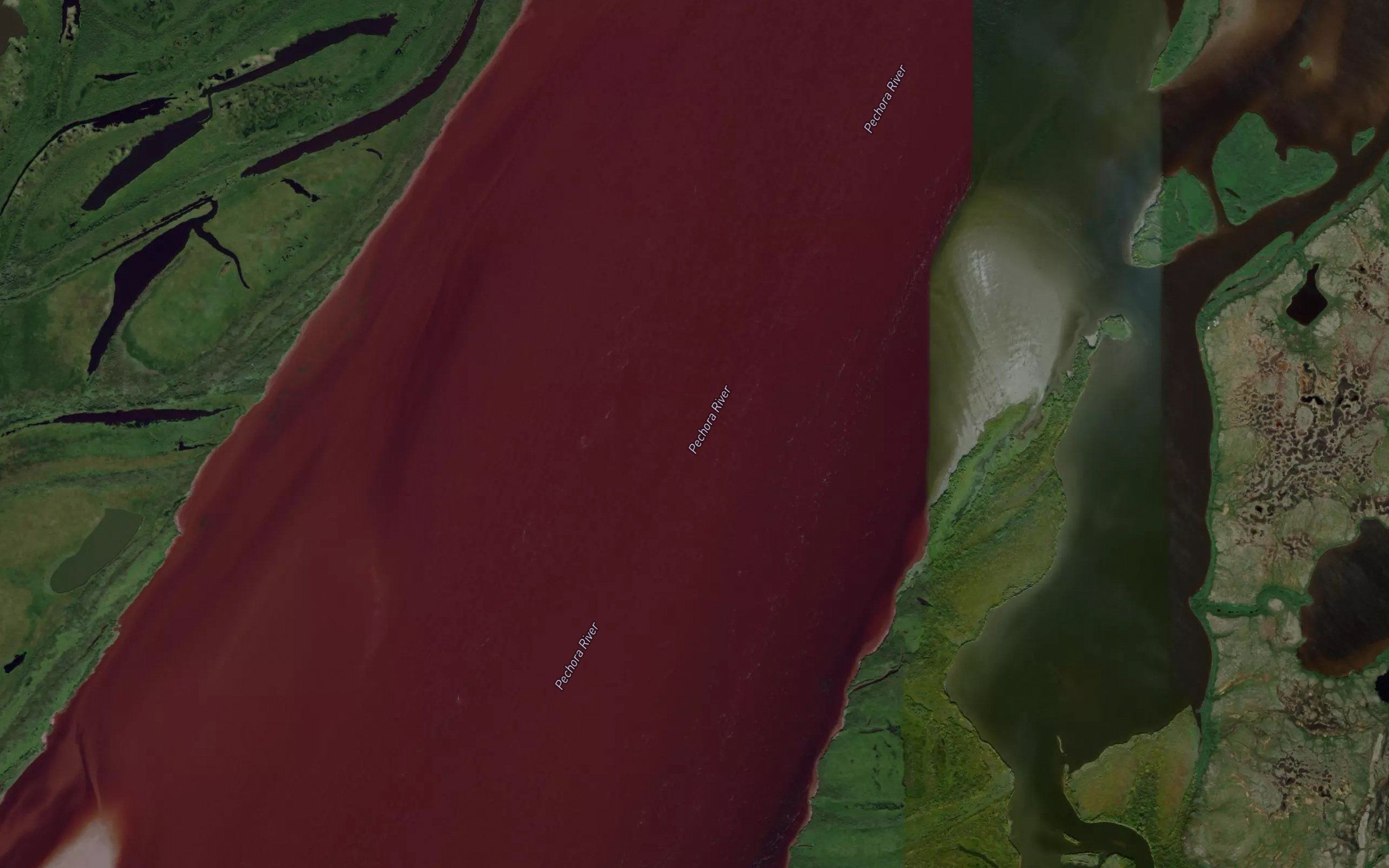 Ortina