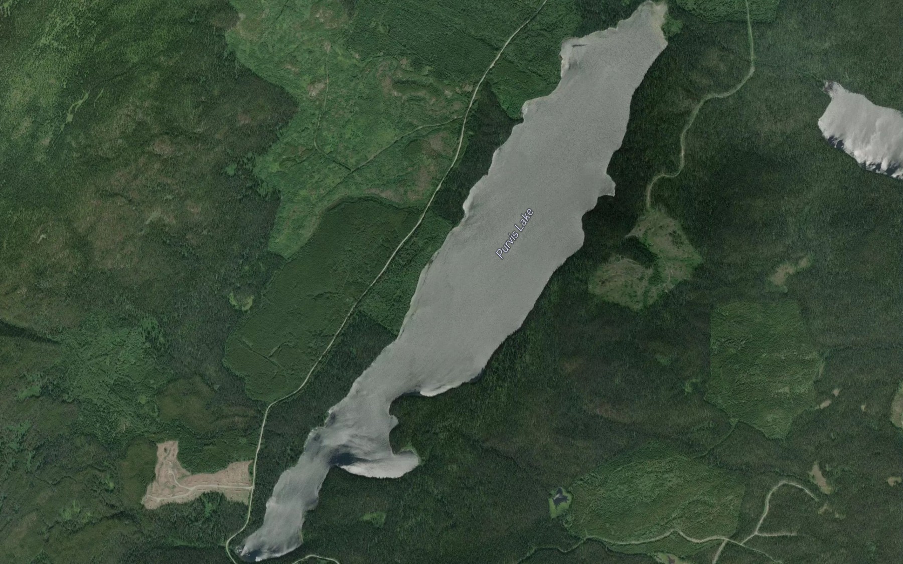 Satellite map of the Purvis Lake