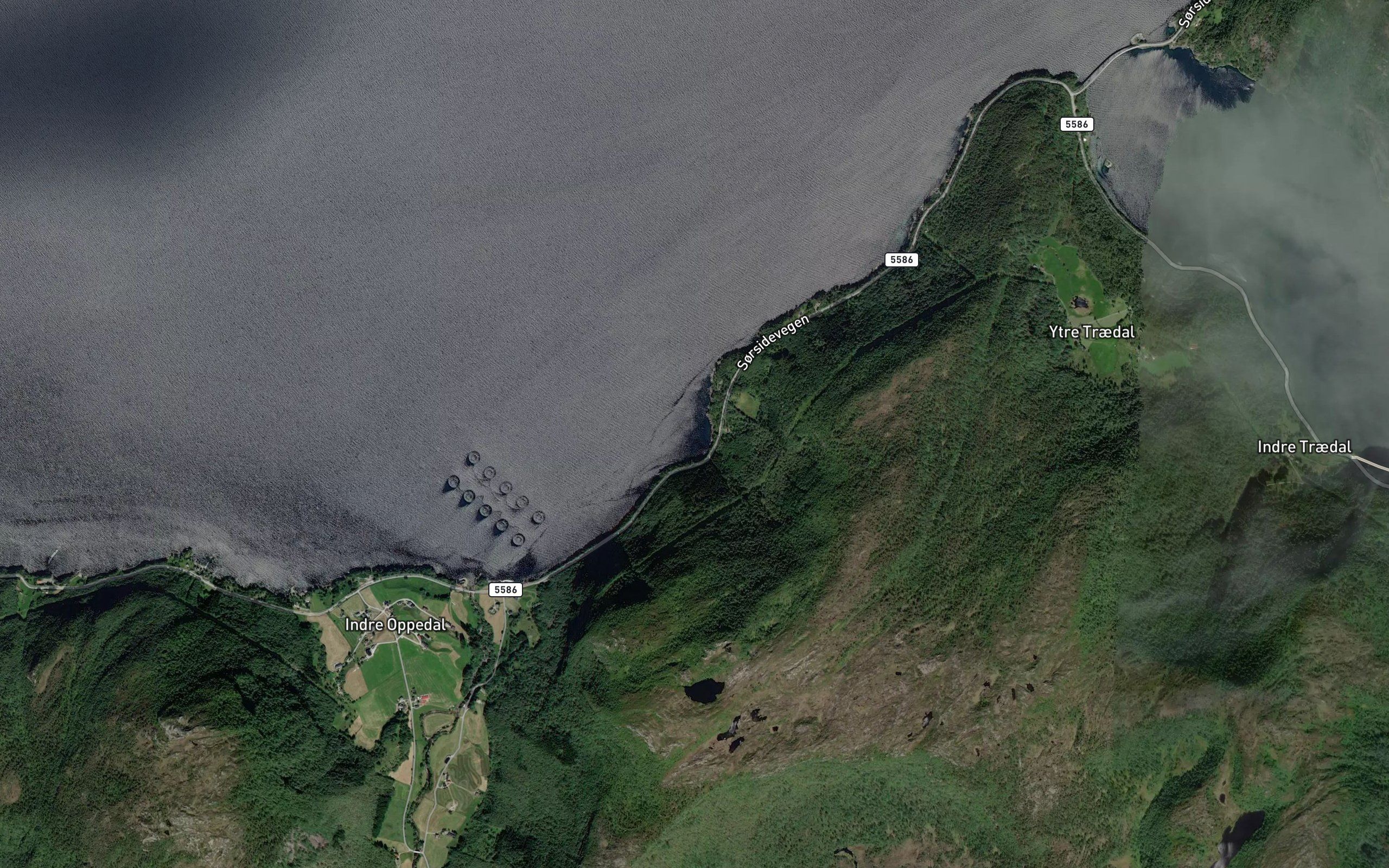 Lauvnesvika