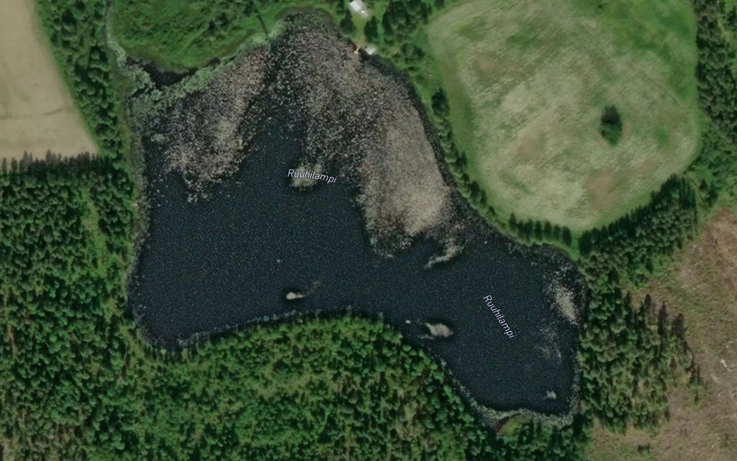 Ruuhilampi