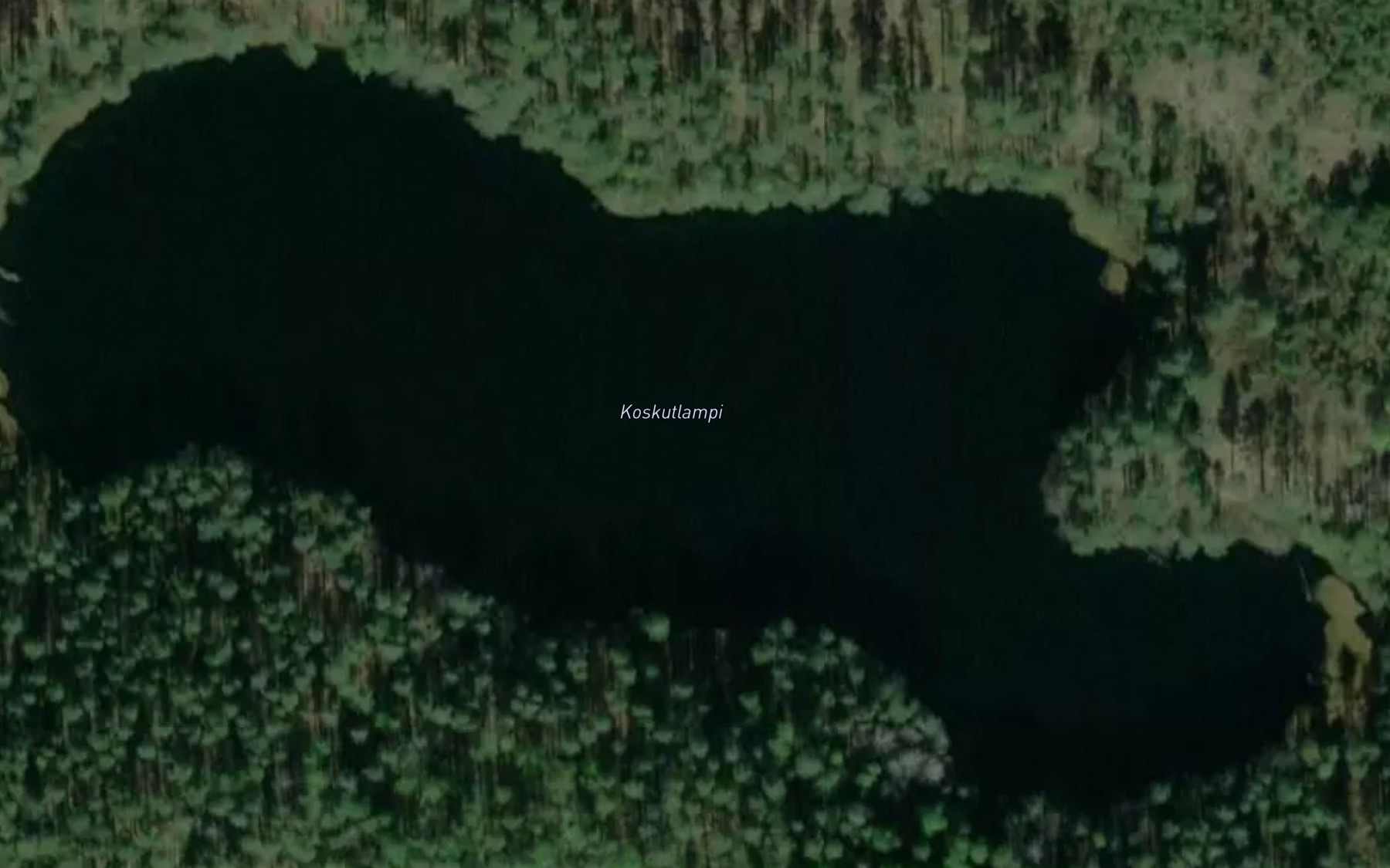 Satellite map of the Koskutlampi