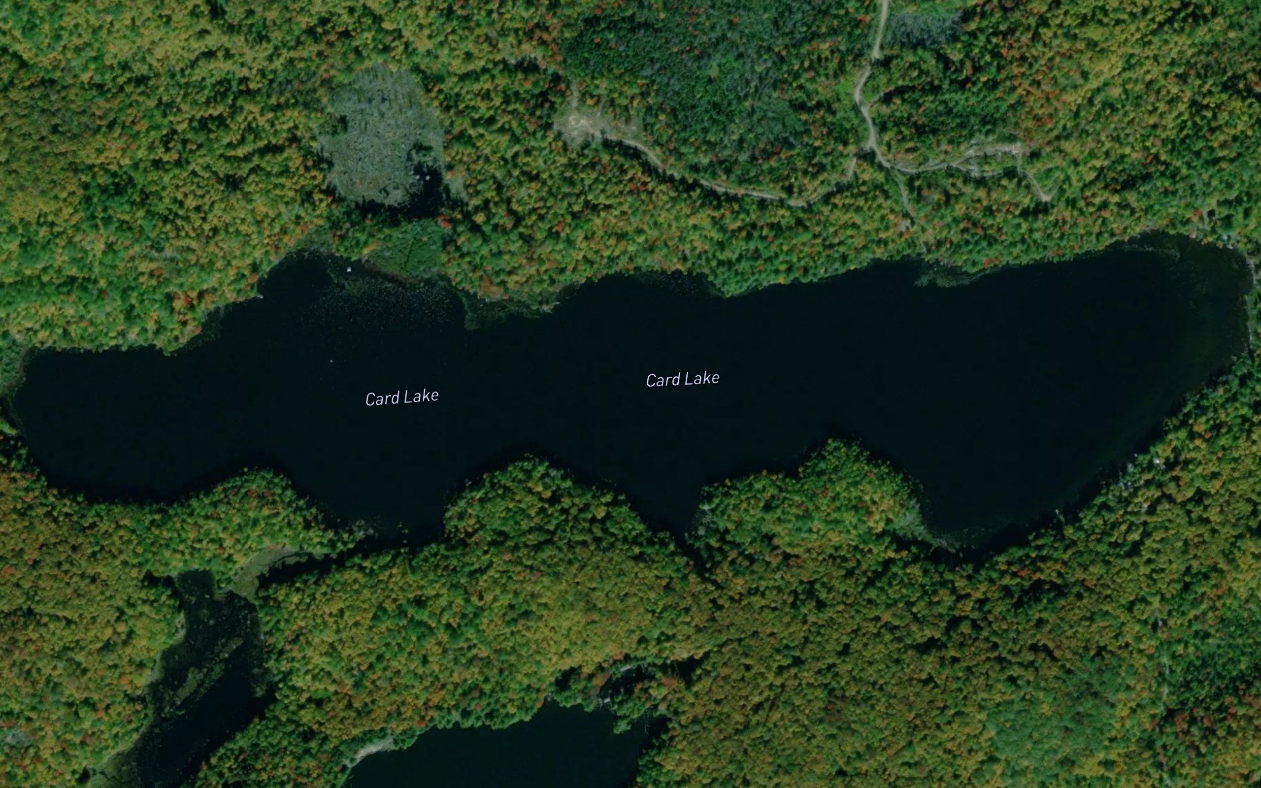 Card Lake
