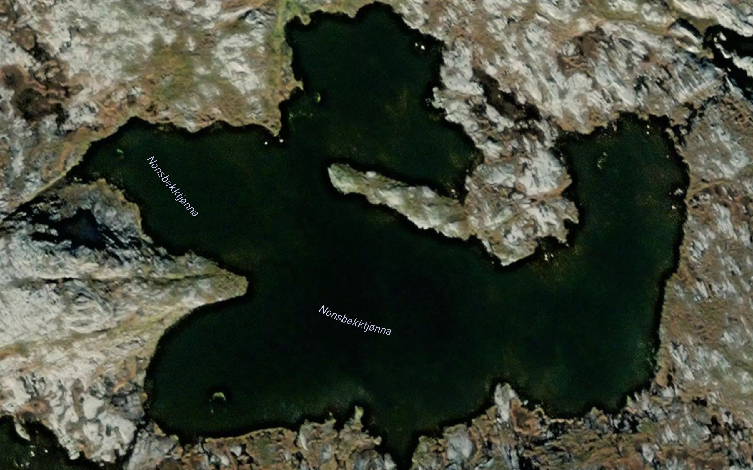 Nonsbekktjorna