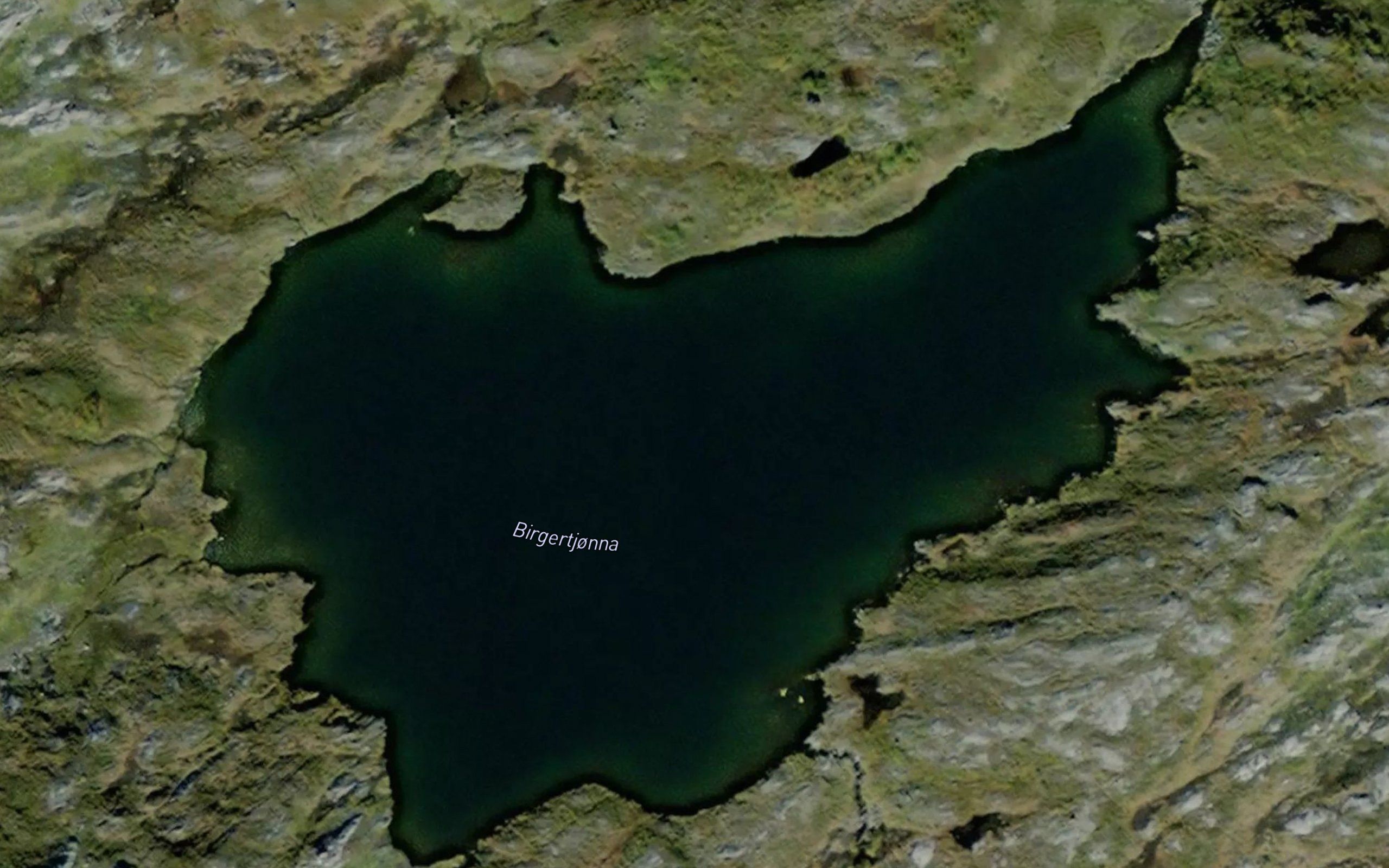 Birgertjorna