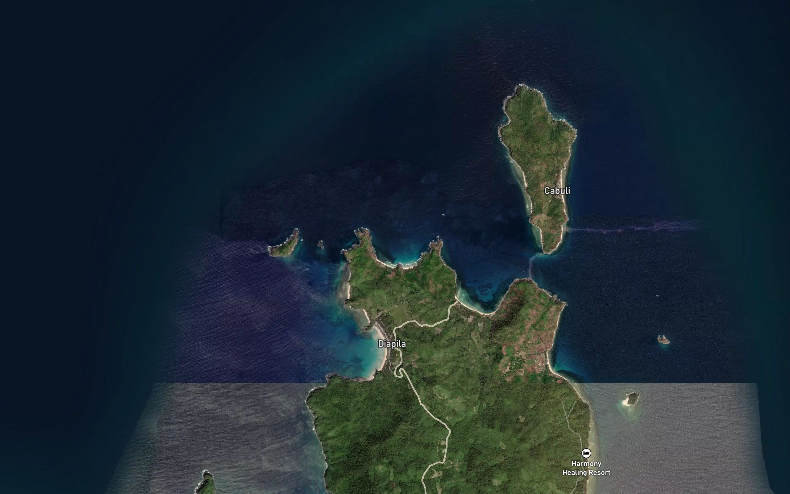 Libro Bay