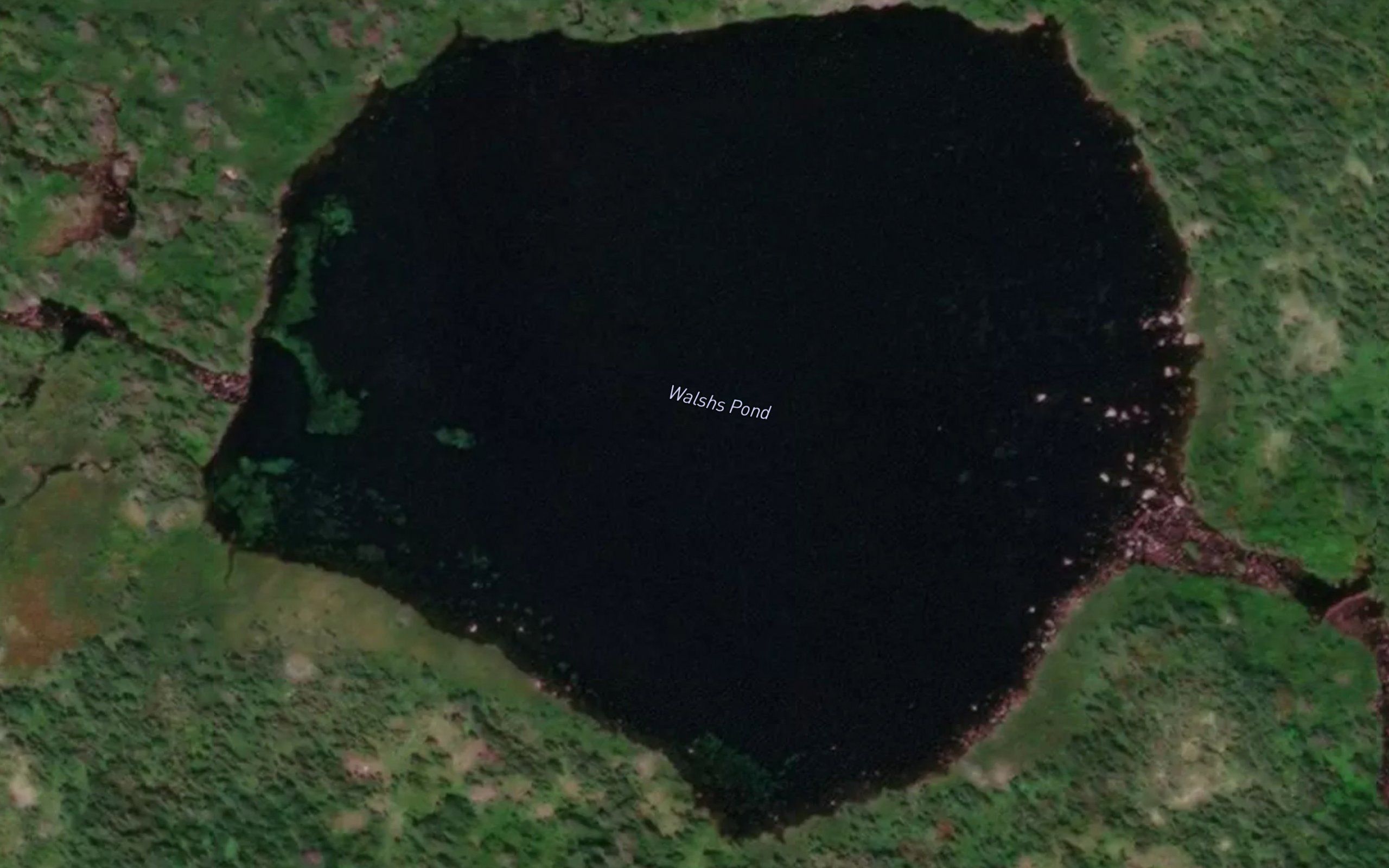 Walshs Pond