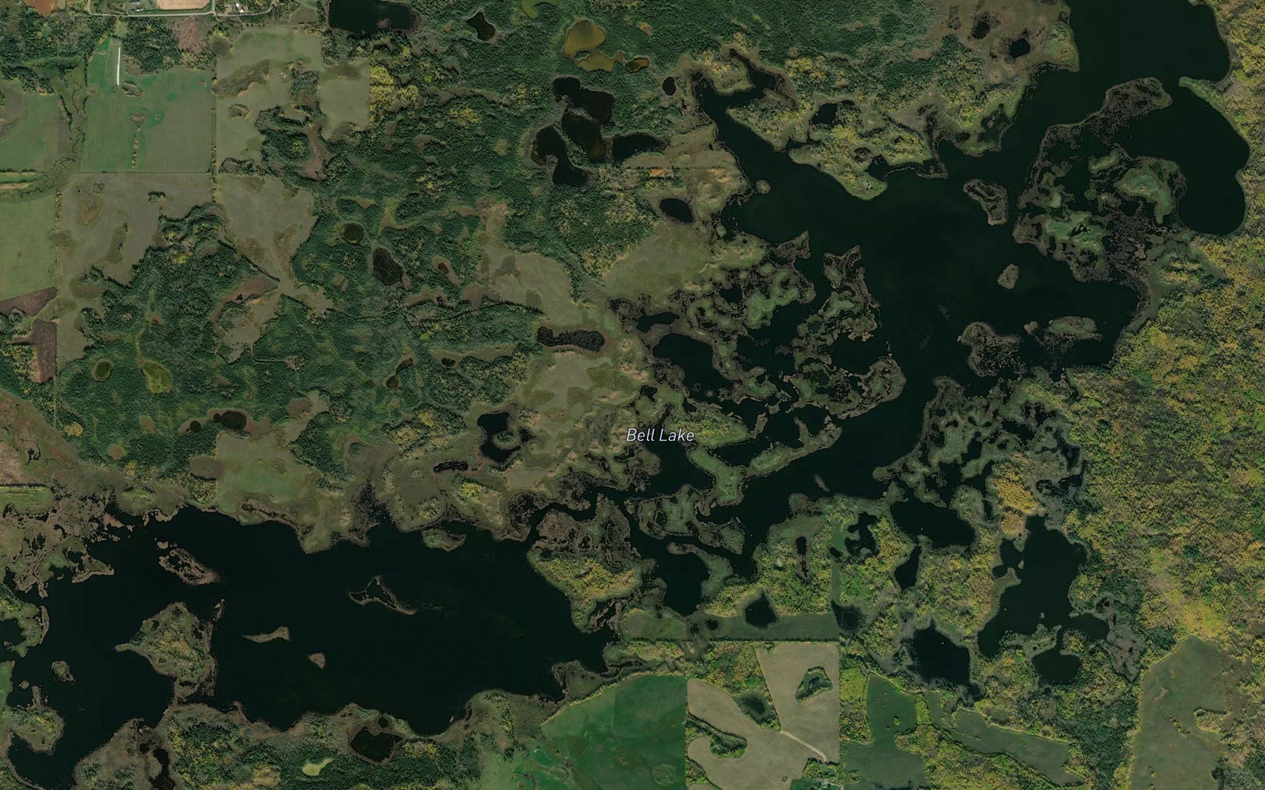 Bell Lake
