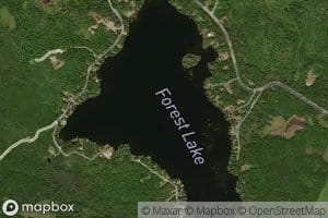Forest Lake