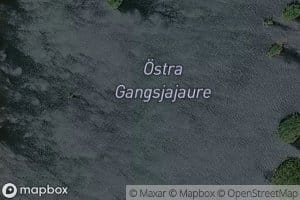 Ostra Gangsjajaure