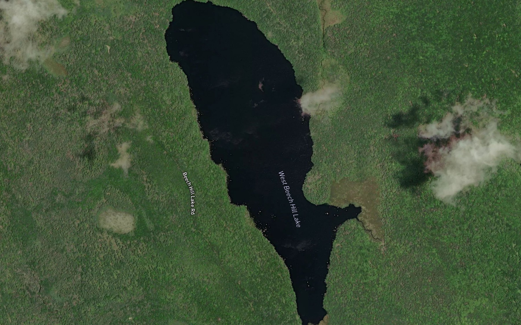 Satellite map of the West Beech Hill Lake