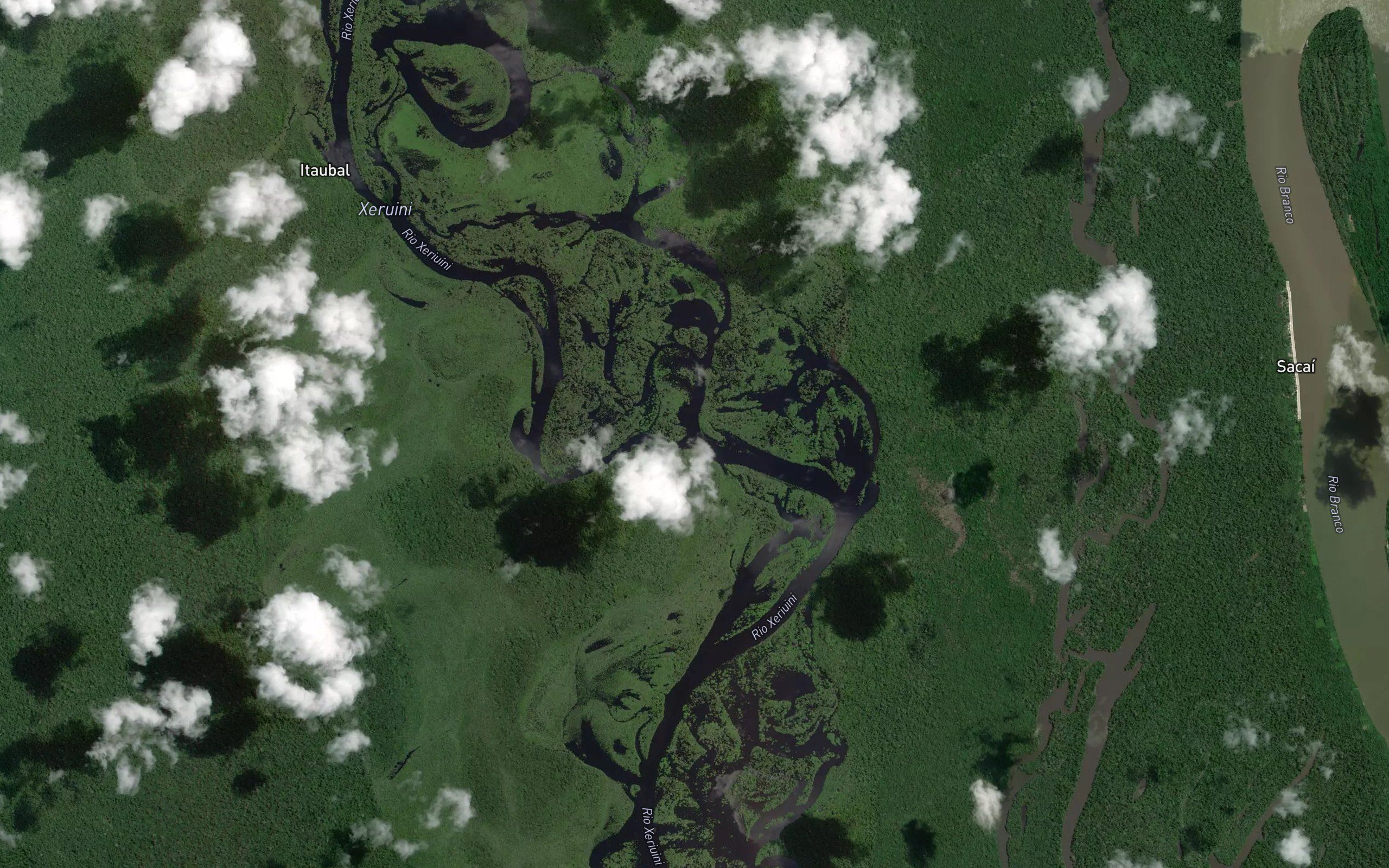 Parana do Pacu