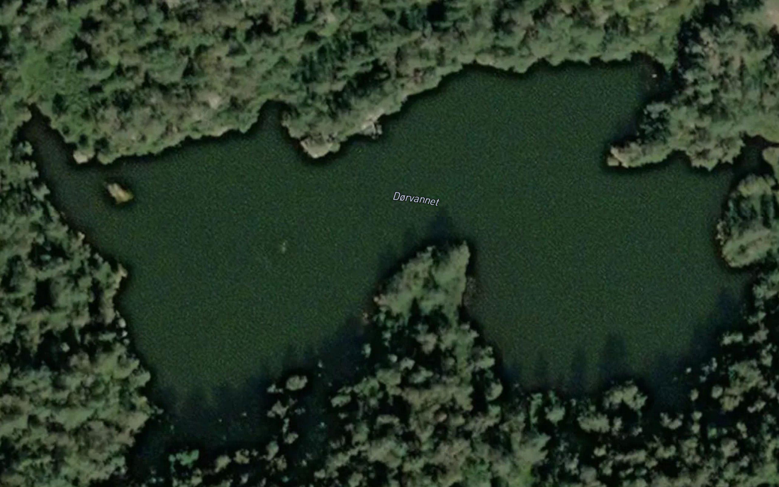 Dorvannet
