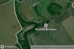 Draghiste