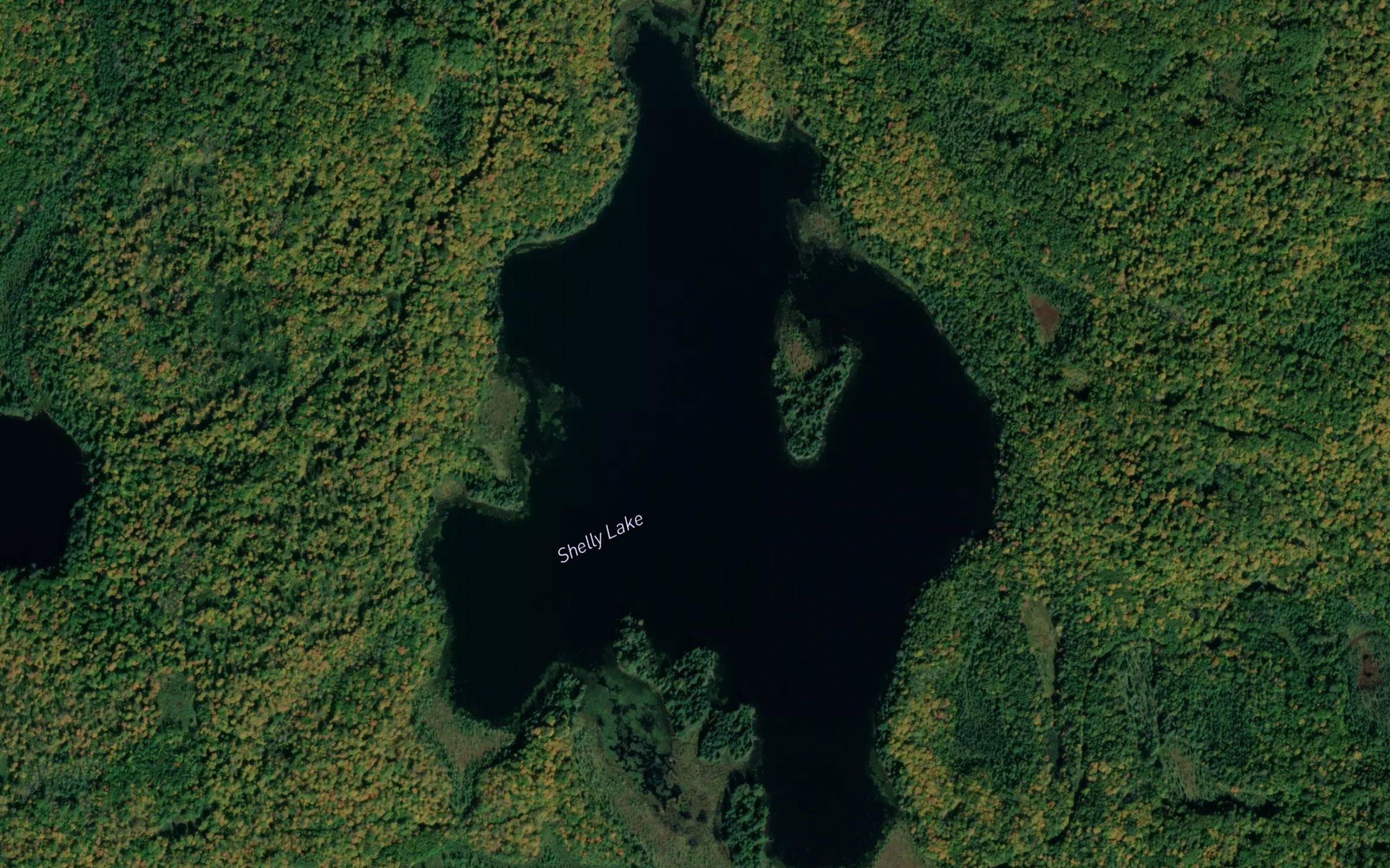 Shelly Lake