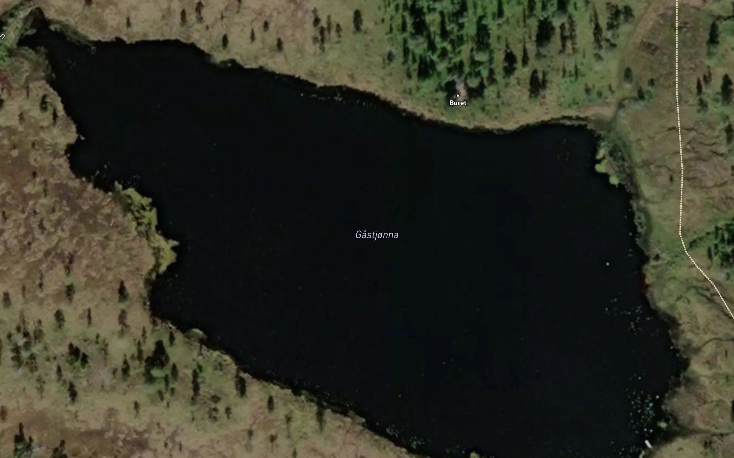 Gastjorna