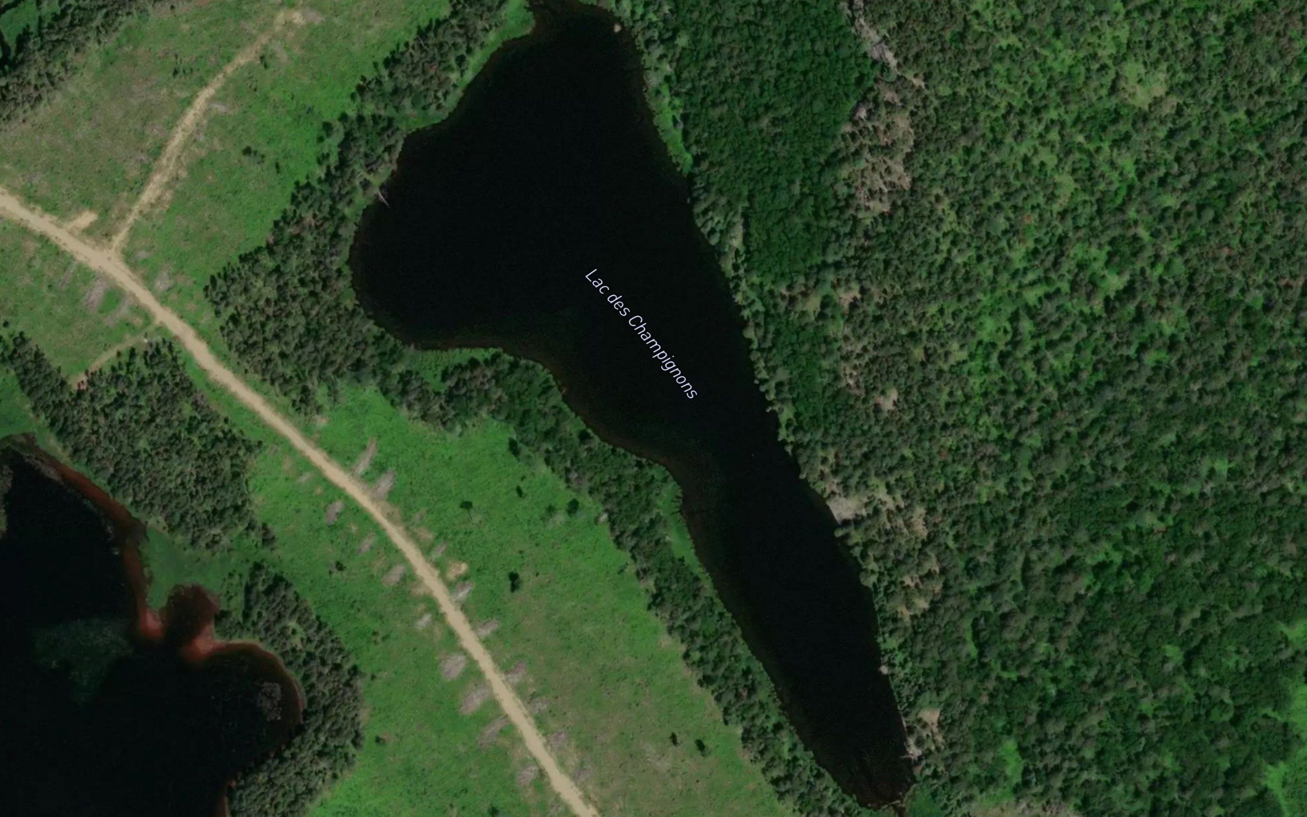 Lac des Champignons