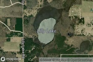 Lily Lake