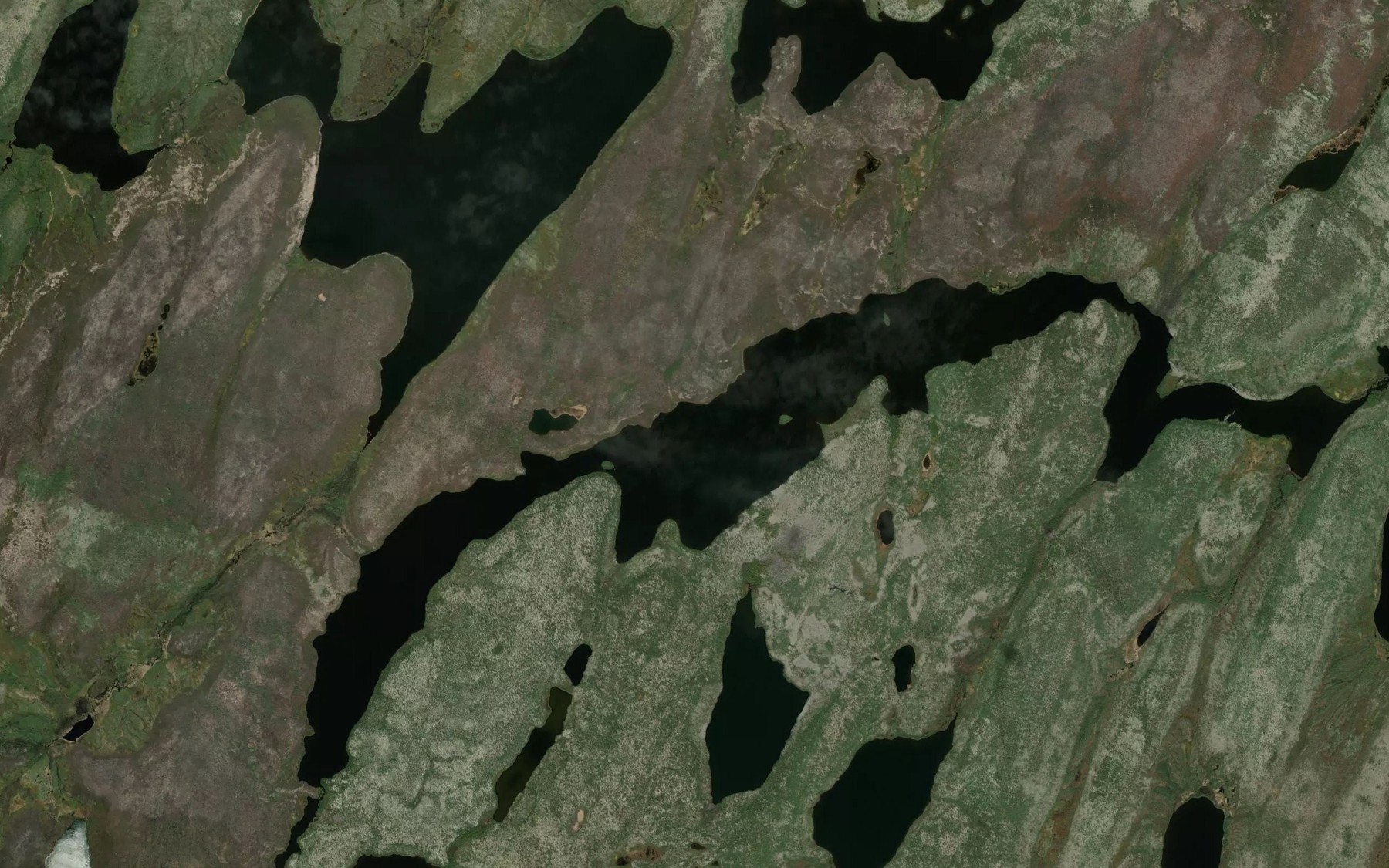 Satellite map of the Warrener Lake