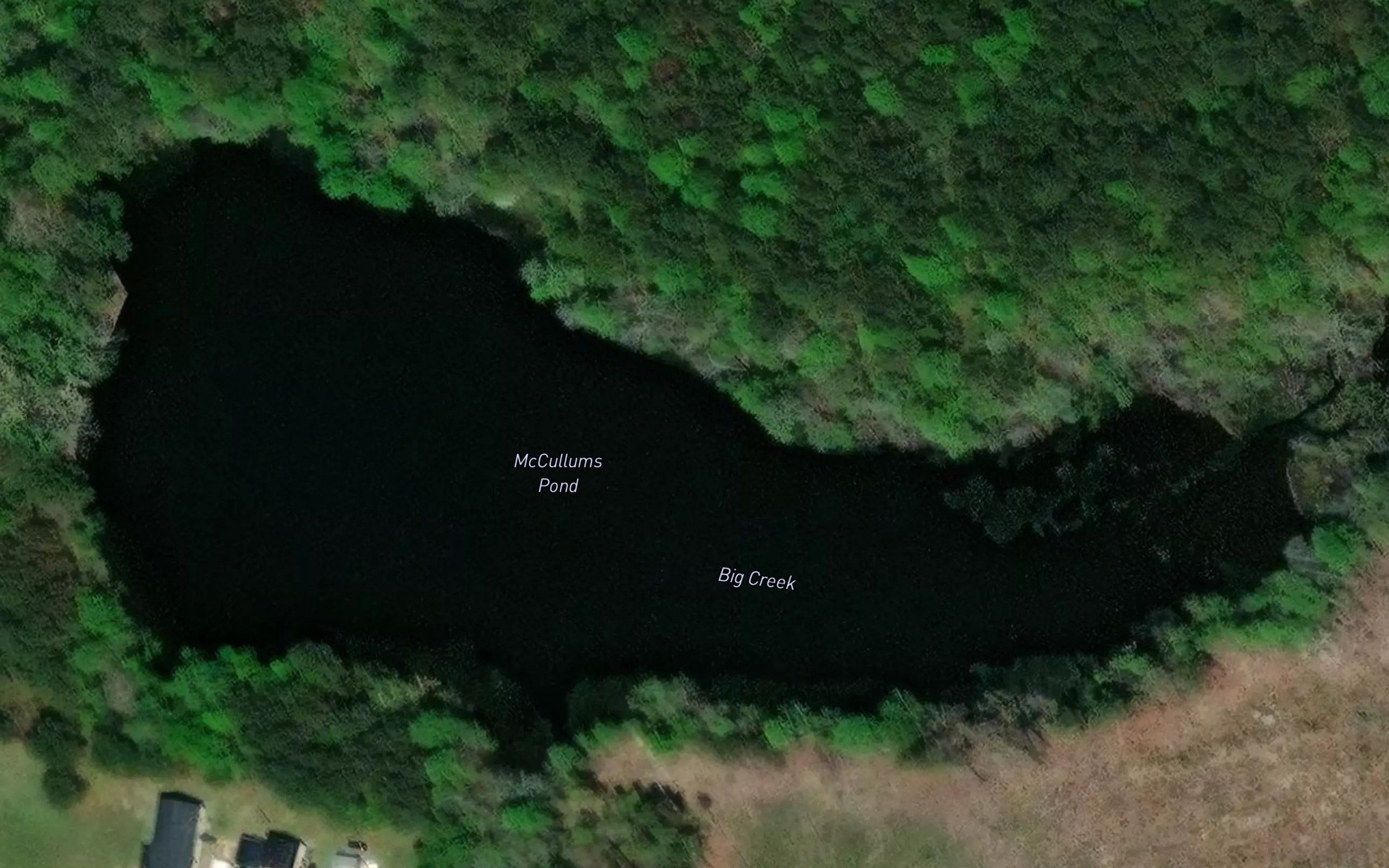 McCullums Pond