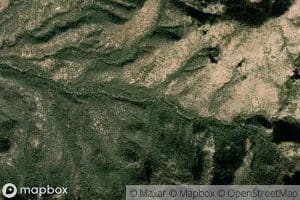Wild Bear Spring