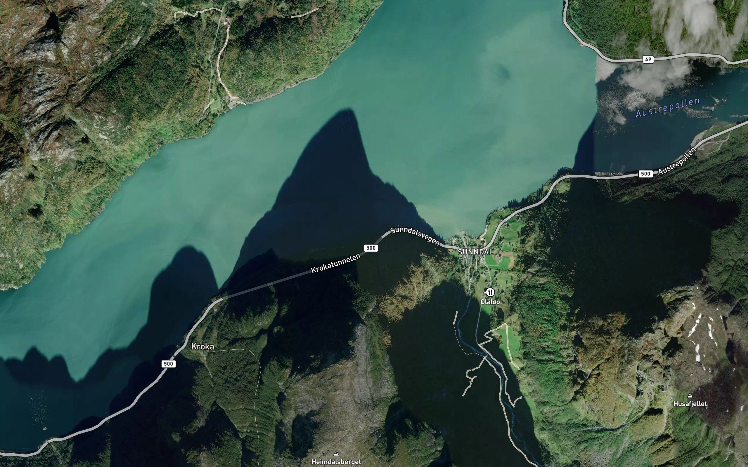 Nesvika
