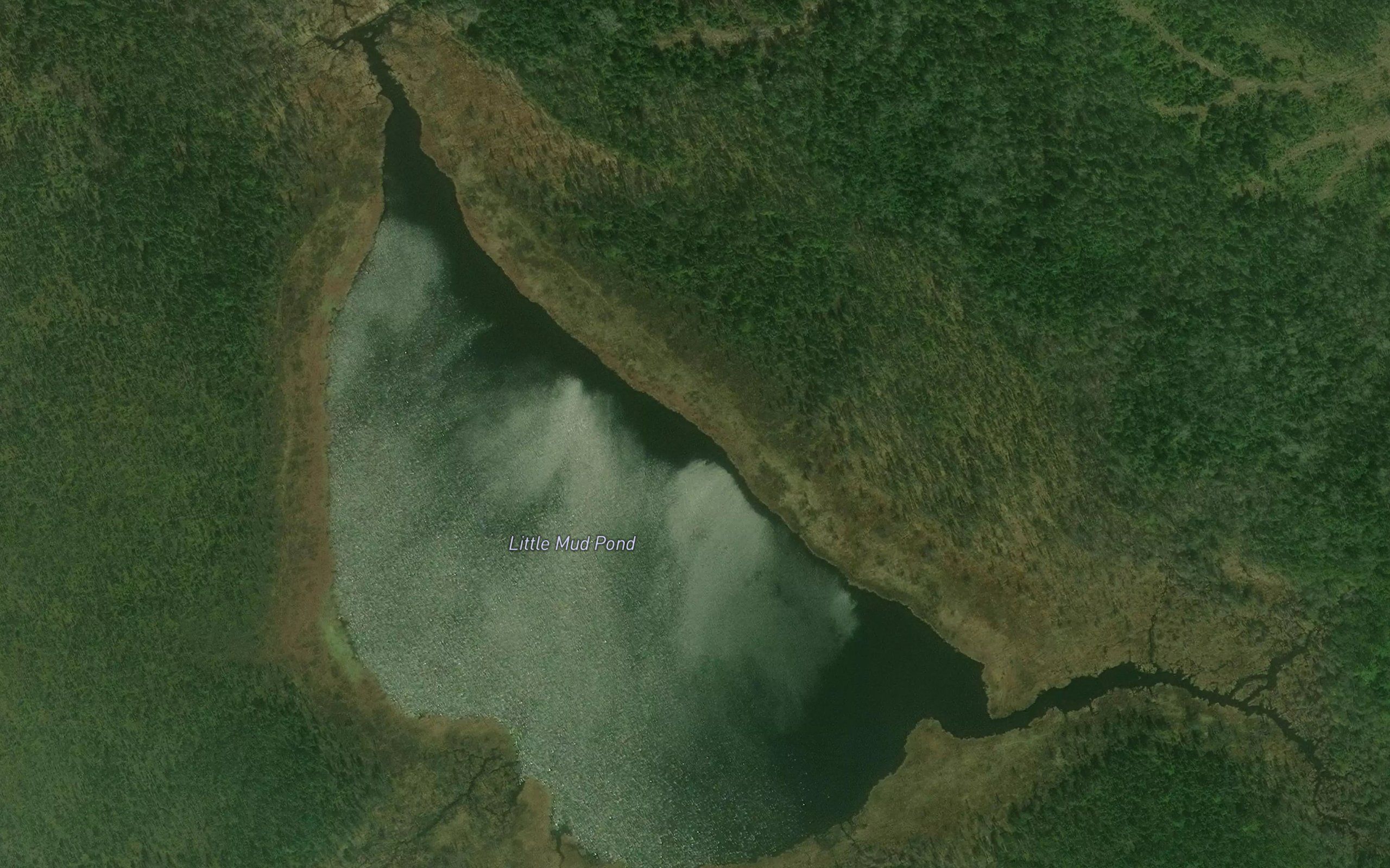 Little Mud Pond