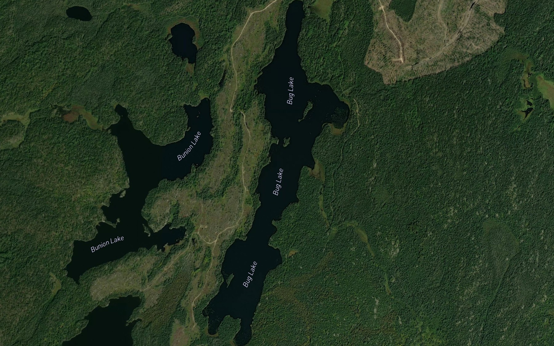 Satellite map of the Bug Lake