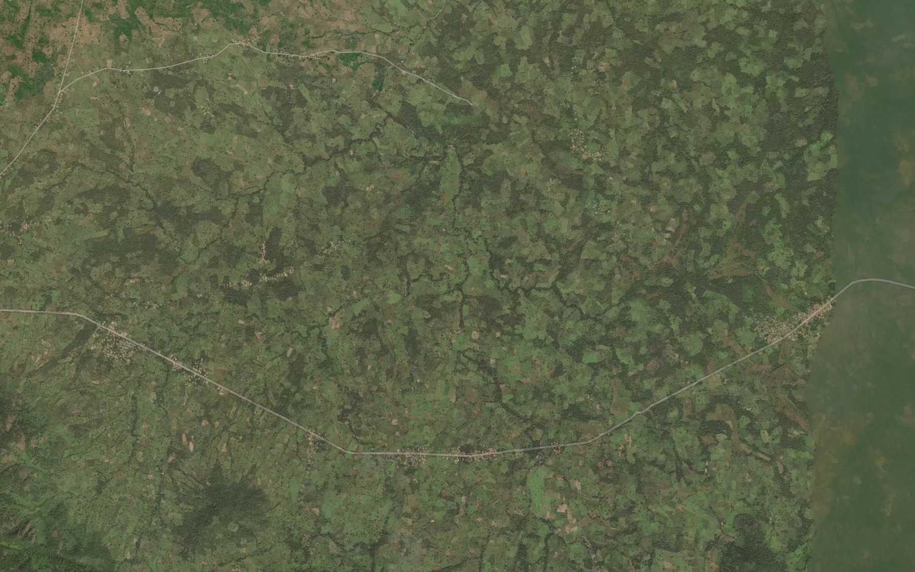 Satellite map of the River Bong