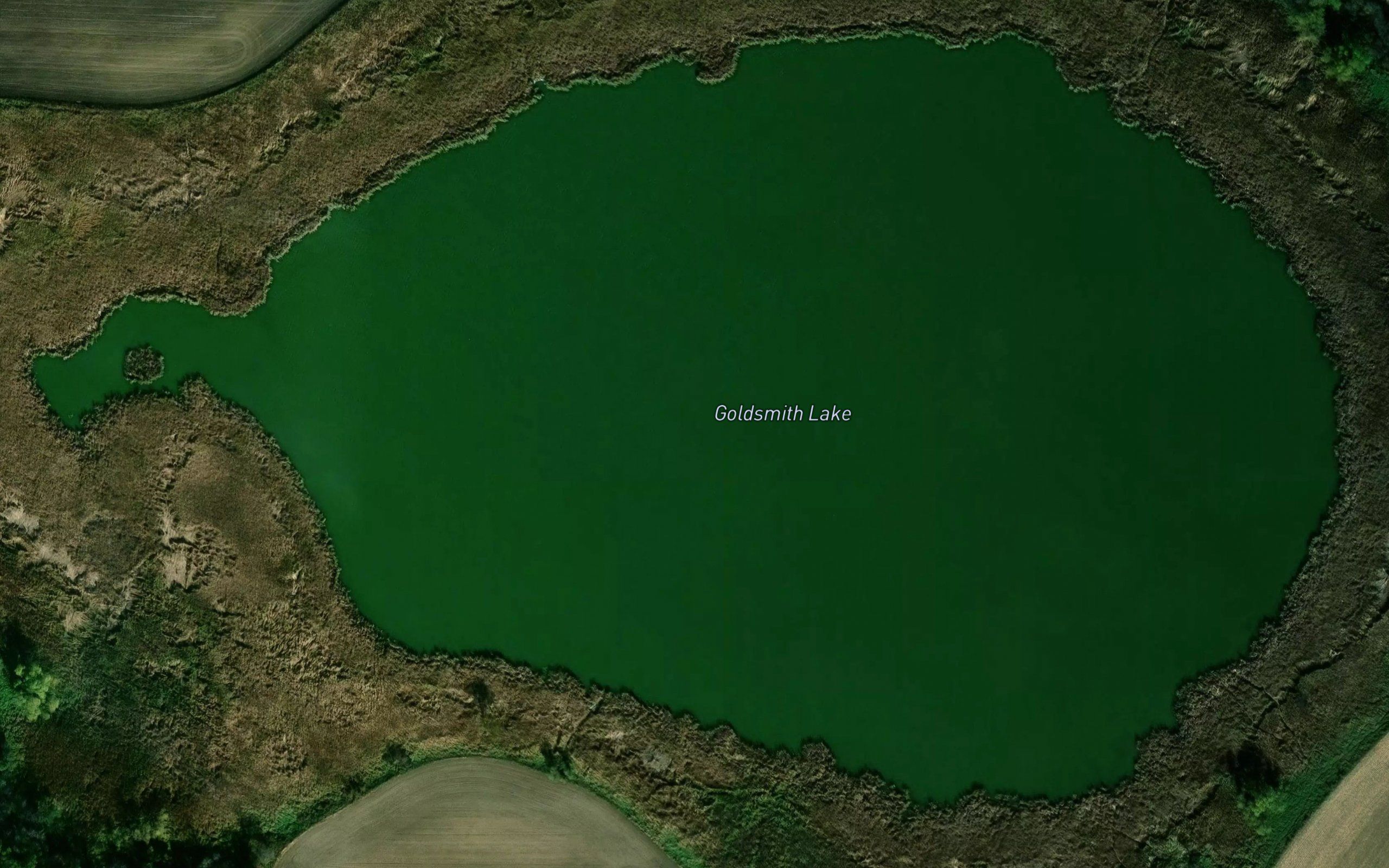 Goldsmith Lake