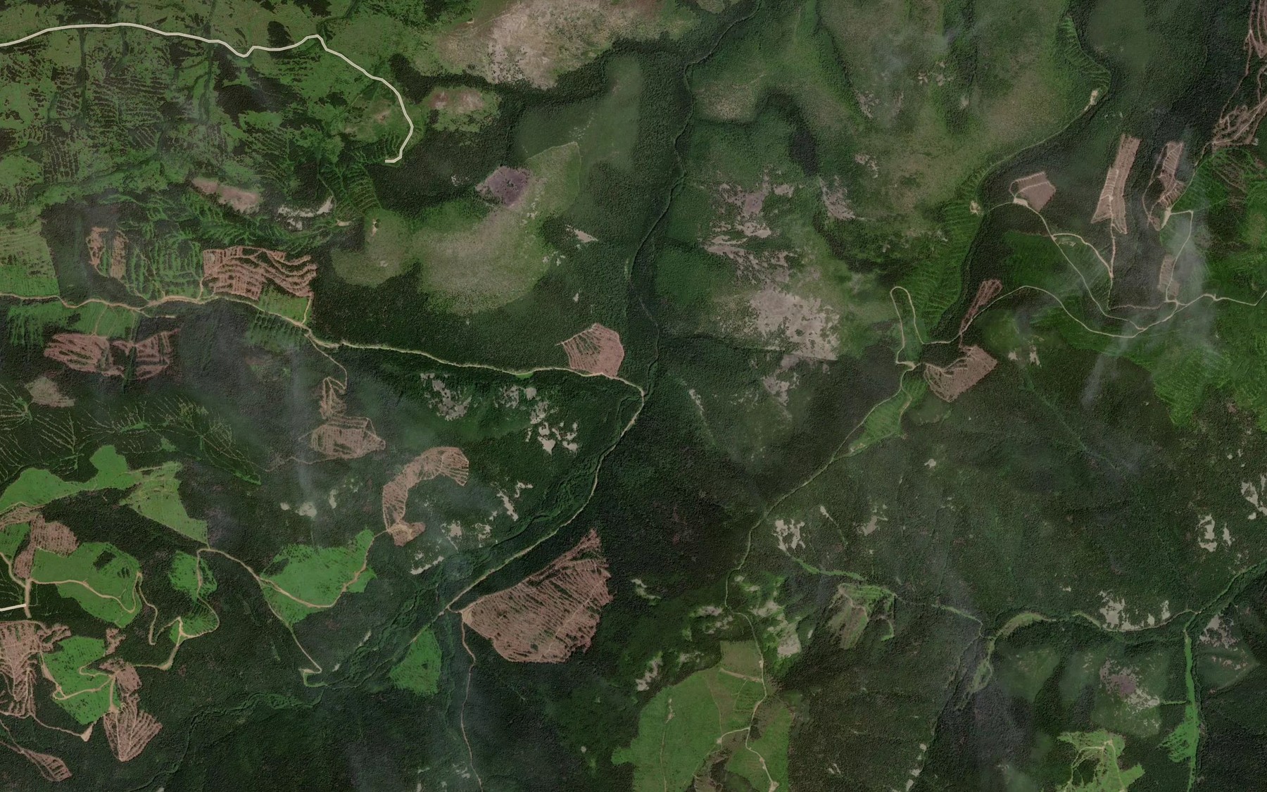 Satellite map of the Pikhtovyy