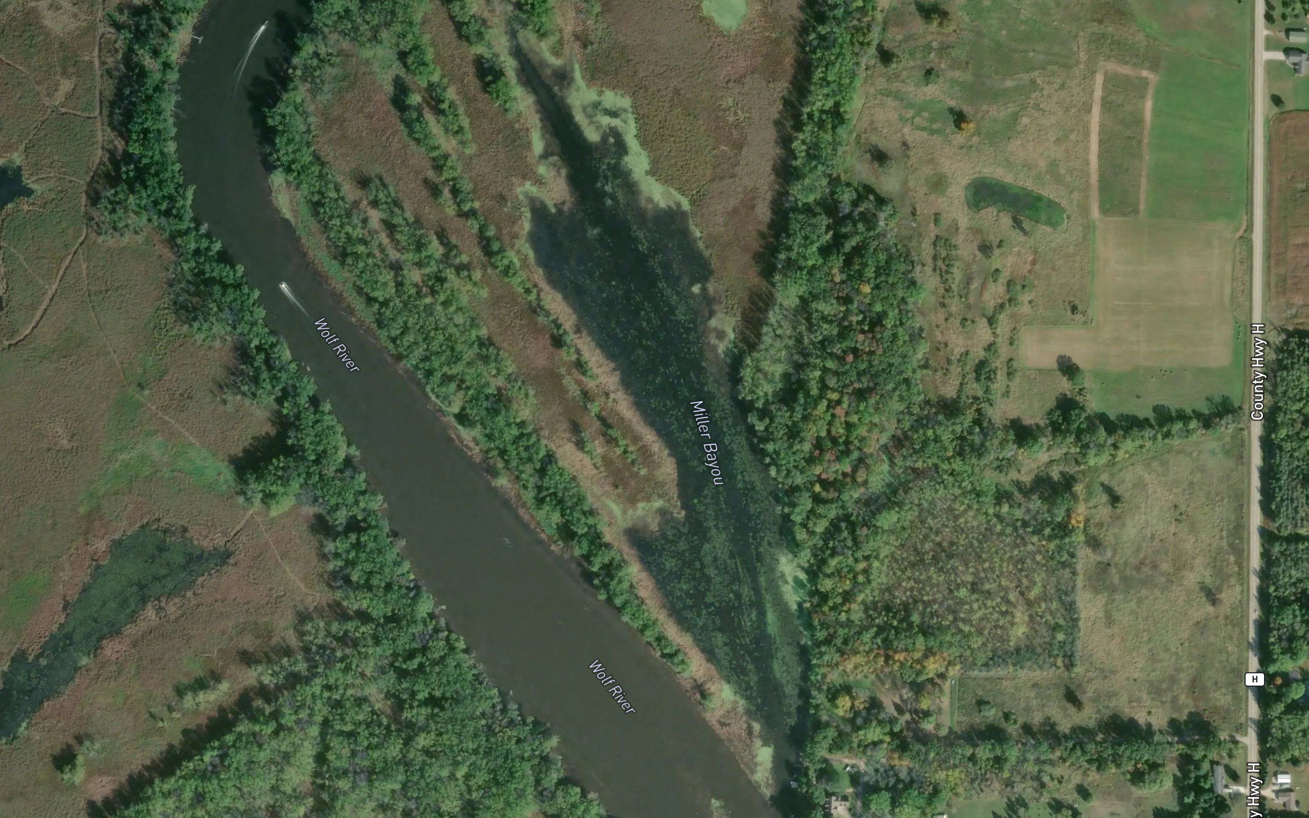 Miller Bayou