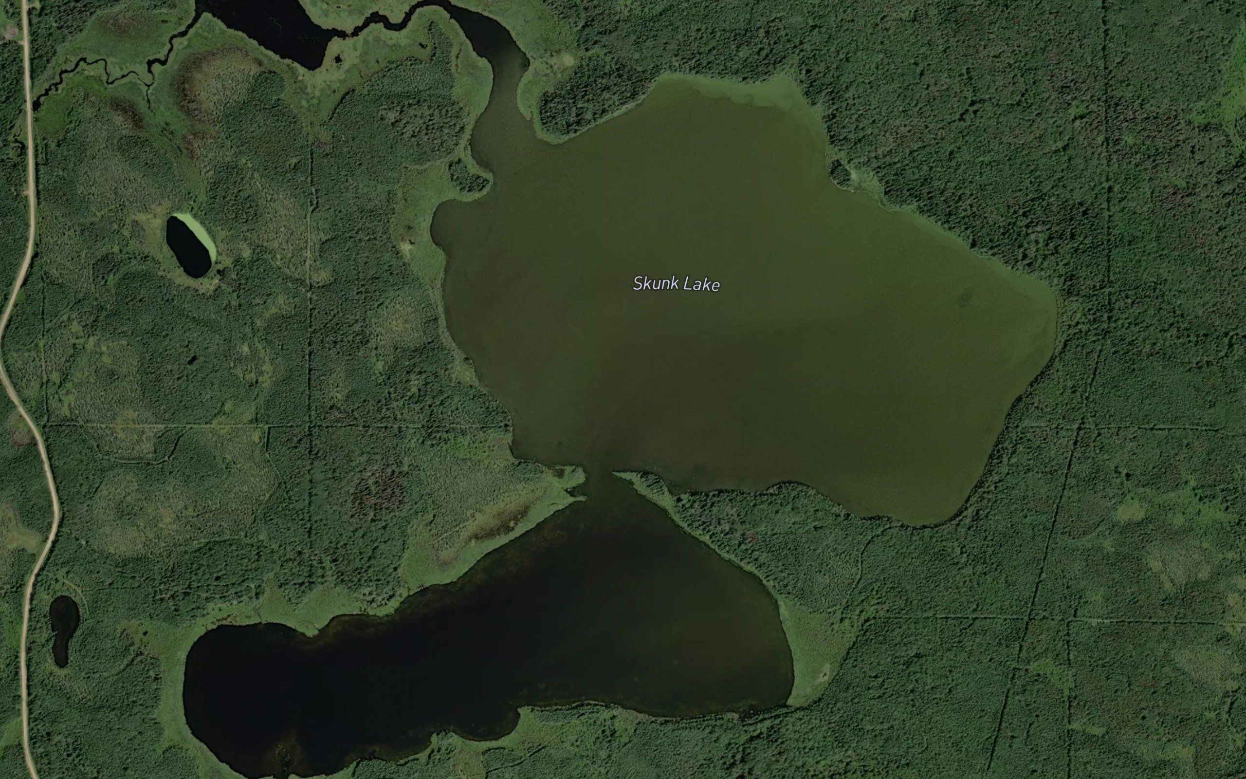 Skunk Lake