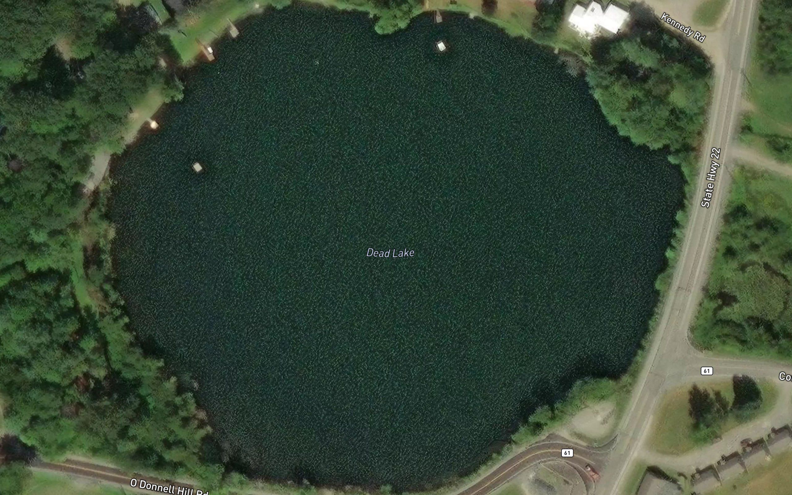 Dead Lake