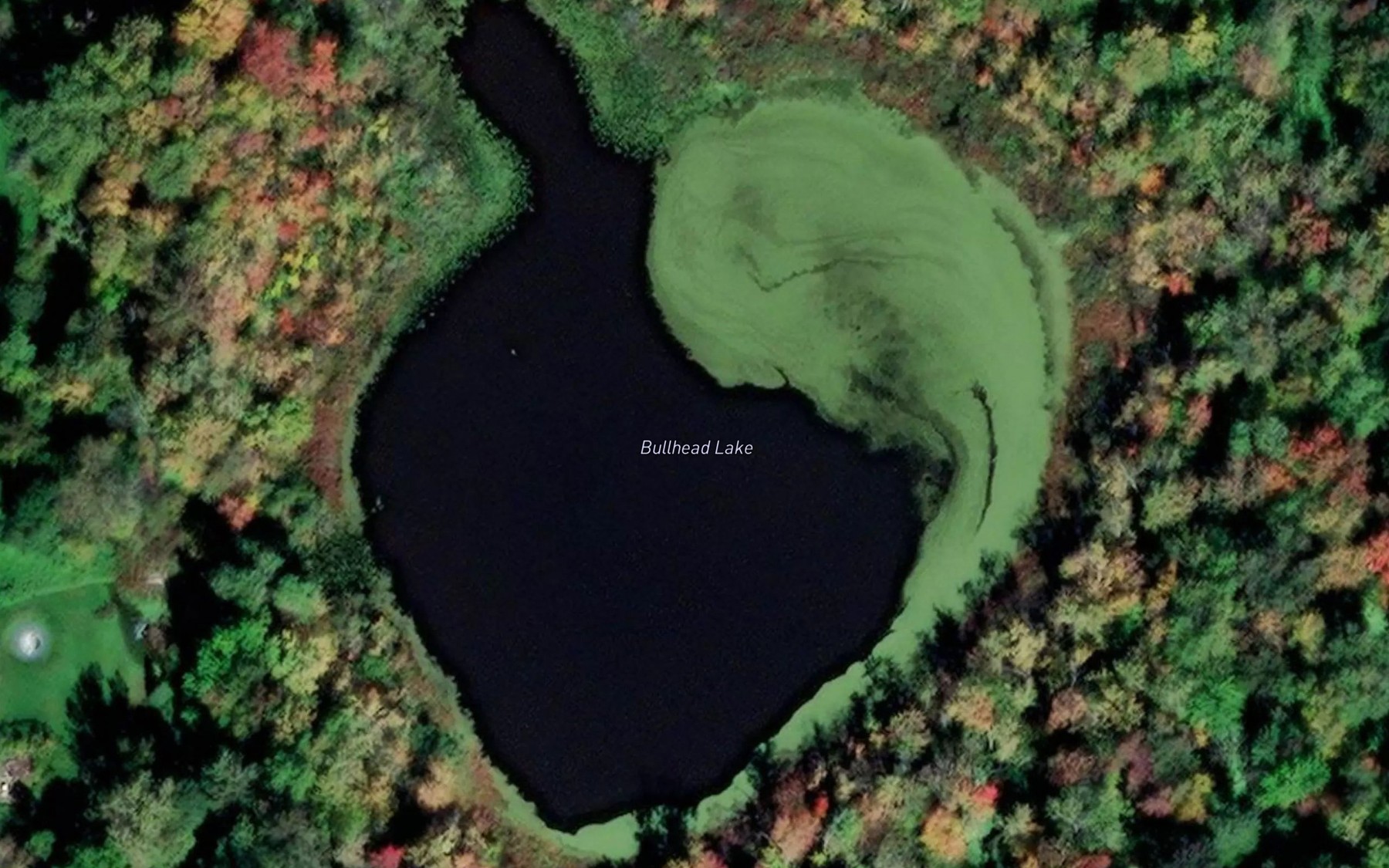 Satellite map of the Bullhead Lake