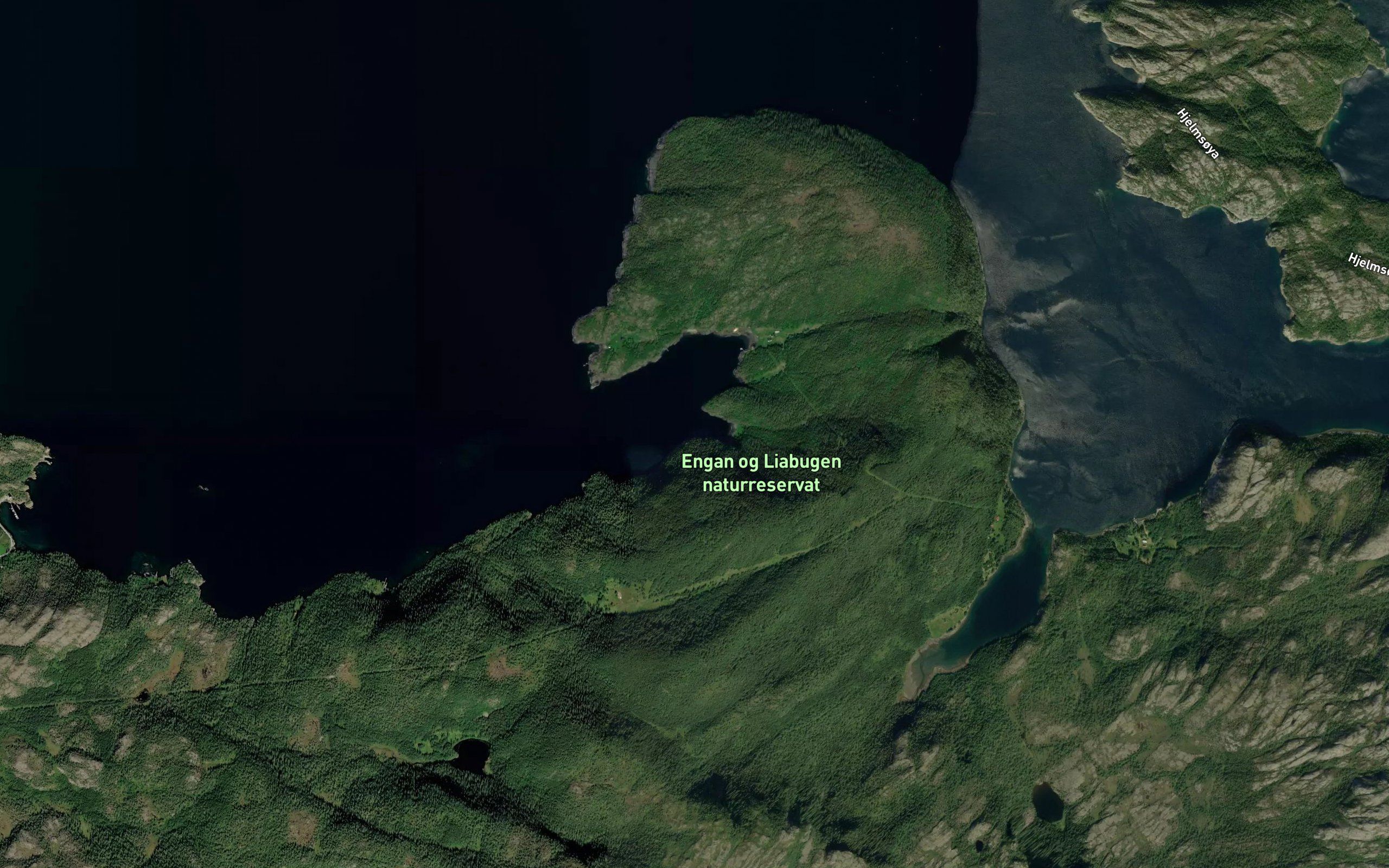 Litl-Purkvika