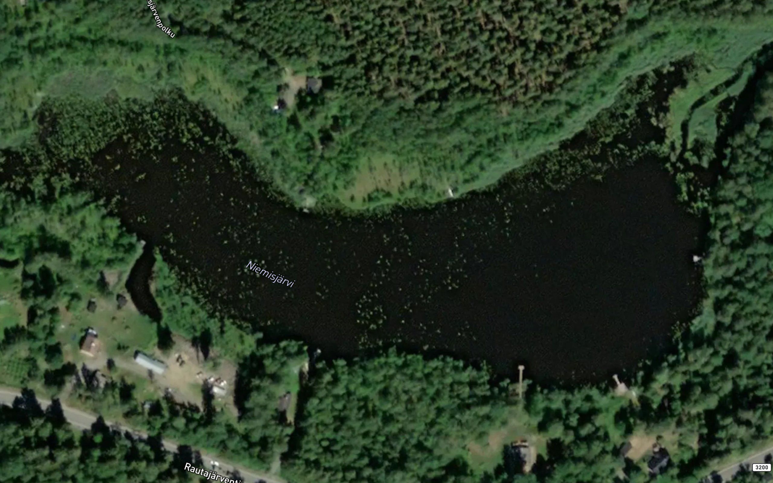 Harmianoja