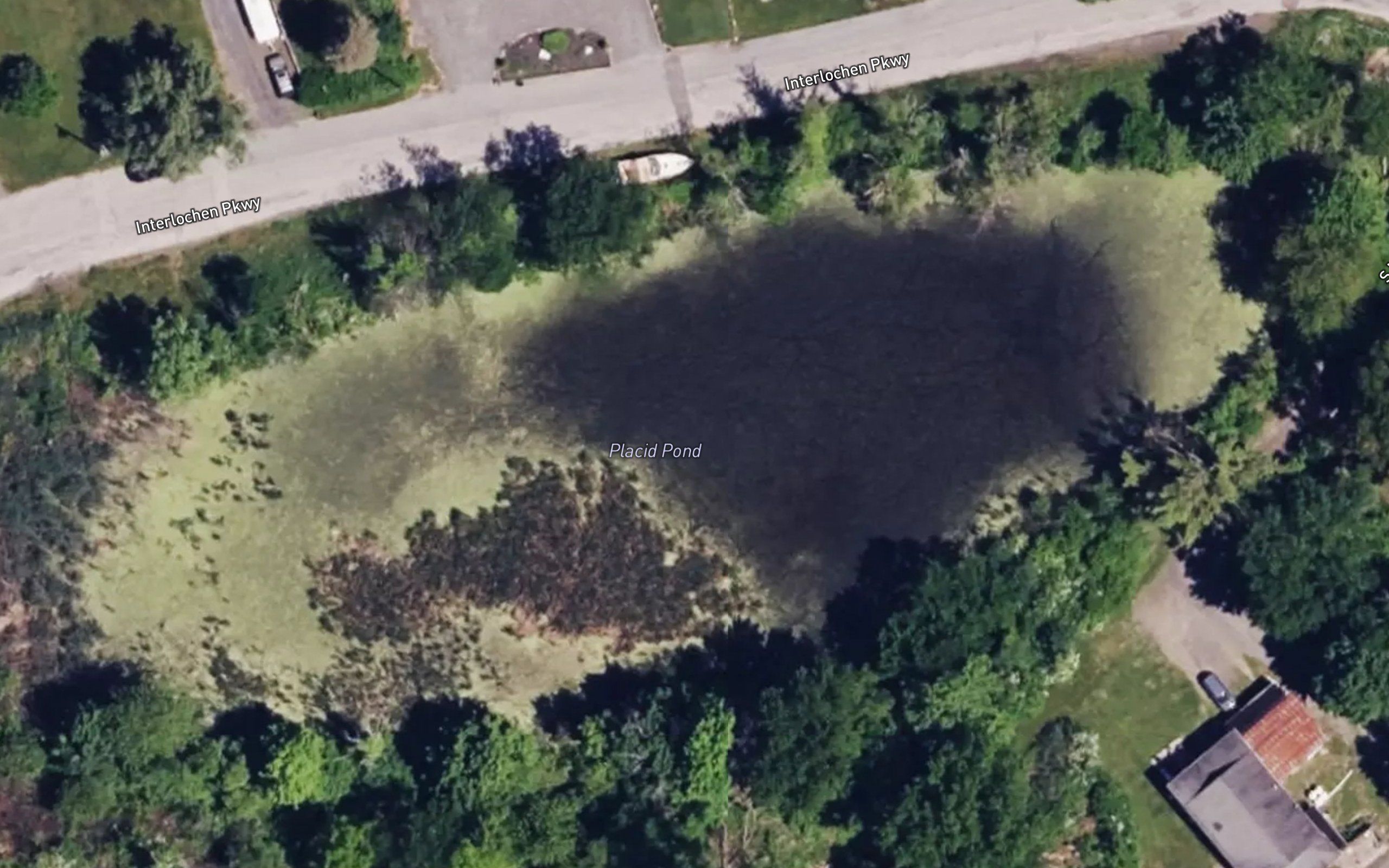 Placid Pond